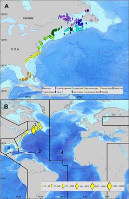 Informing Management of Atlantic Bluefin Tuna Using Telemetry Data